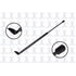 FCS Struts 86113L Liftgate Lift Support Liftgate Lift Support