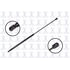 FCS Struts 86196 Hood Lift Support Hood Lift Support