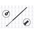 86268 by FCS STRUTS - Liftgate Lift Support