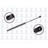 86269 by FCS STRUTS - Liftgate Lift Support