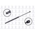 86266 by FCS STRUTS - Trunk Lid Lift Support