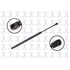 86381 by FCS STRUTS - Liftgate Lift Support