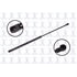 FCS Struts 86519 Liftgate Lift Support Liftgate Lift Support