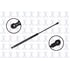 86614 by FCS STRUTS - Back Glass Lift Support