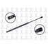 FCS Struts 86701 Liftgate Lift Support Liftgate Lift Support