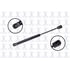 FCS Struts 86918 86918