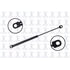 FCS Struts 86923 86923