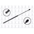 FCS Struts 86947 86947