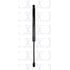 FCS Struts 87066 Tailgate Lift Support Tailgate Lift Support