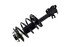 1331646L by FCS STRUTS - Suspension Strut and Coil Spring Assembly