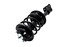 1332342L by FCS STRUTS - Suspension Strut and Coil Spring Assembly