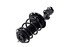 1333493L by FCS STRUTS - Suspension Strut and Coil Spring Assembly