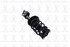 1333532R by FCS STRUTS - Suspension Strut and Coil Spring Assembly Front Right FCS 1333532R