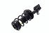 1333591L by FCS STRUTS - Suspension Strut and Coil Spring Assembly