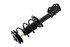 1334053L by FCS STRUTS - Suspension Strut and Coil Spring Assembly