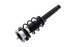 1335808R by FCS STRUTS - COMPLETE STRUT ASSY