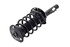 1335804L by FCS STRUTS - Suspension Strut and Coil Spring Assembly