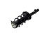 1335893L by FCS STRUTS - Suspension Strut and Coil Spring Assembly Front Left FCS fits 14-15 Ford Focus