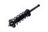 1336348 by FCS STRUTS - Suspension Strut and Coil Spring Assembly