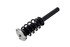 1337097 by FCS STRUTS - Suspension Strut and Coil Spring Assembly