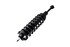 1345566R by FCS STRUTS - Suspension Strut and Coil Spring Assembly