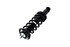 1345681 by FCS STRUTS - Suspension Strut and Coil Spring Assembly