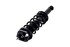 1355028 by FCS STRUTS - Suspension Strut and Coil Spring Assembly