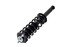 1355051L by FCS STRUTS - COMPLETE STRUT ASSY