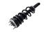 1355045 by FCS STRUTS - Suspension Strut and Coil Spring Assembly