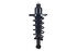 1355072L by FCS STRUTS - Suspension Strut and Coil Spring Assembly