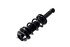 1355059 by FCS STRUTS - Suspension Strut and Coil Spring Assembly