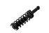 2345397 by FCS STRUTS - Suspension Strut and Coil Spring Assembly
