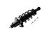 2355016R by FCS STRUTS - Suspension Strut and Coil Spring Assembly