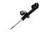 331789L by FCS STRUTS - Suspension Strut Assembly