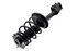 3333393L by FCS STRUTS - Suspension Strut and Coil Spring Assembly