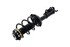 3333987L by FCS STRUTS - Suspension Strut and Coil Spring Assembly