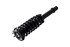 3336347L by FCS STRUTS - Suspension Strut and Coil Spring Assembly
