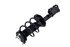4333957L by FCS STRUTS - Suspension Strut and Coil Spring Assembly