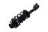 1331652L by FCS STRUTS - Suspension Strut and Coil Spring Assembly