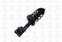 1333532R by FCS STRUTS - Suspension Strut and Coil Spring Assembly Front Right FCS 1333532R