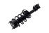 1334125L by FCS STRUTS - Suspension Strut and Coil Spring Assembly