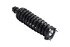 1335793 by FCS STRUTS - Suspension Strut and Coil Spring Assembly