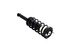 1345030R by FCS STRUTS - Suspension Strut and Coil Spring Assembly