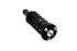 1345681 by FCS STRUTS - Suspension Strut and Coil Spring Assembly