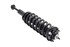 1355017L by FCS STRUTS - COMPLETE STRUT ASSY