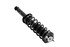 1355051R by FCS STRUTS - COMPLETE STRUT ASSY