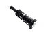 1355046R by FCS STRUTS - Suspension Strut and Coil Spring Assembly