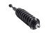 2355017R by FCS STRUTS - COMPLETE STRUT ASSY