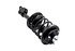 3331595R by FCS STRUTS - Suspension Strut and Coil Spring Assembly