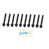 CRP 81048400 HEAD BOLT SET